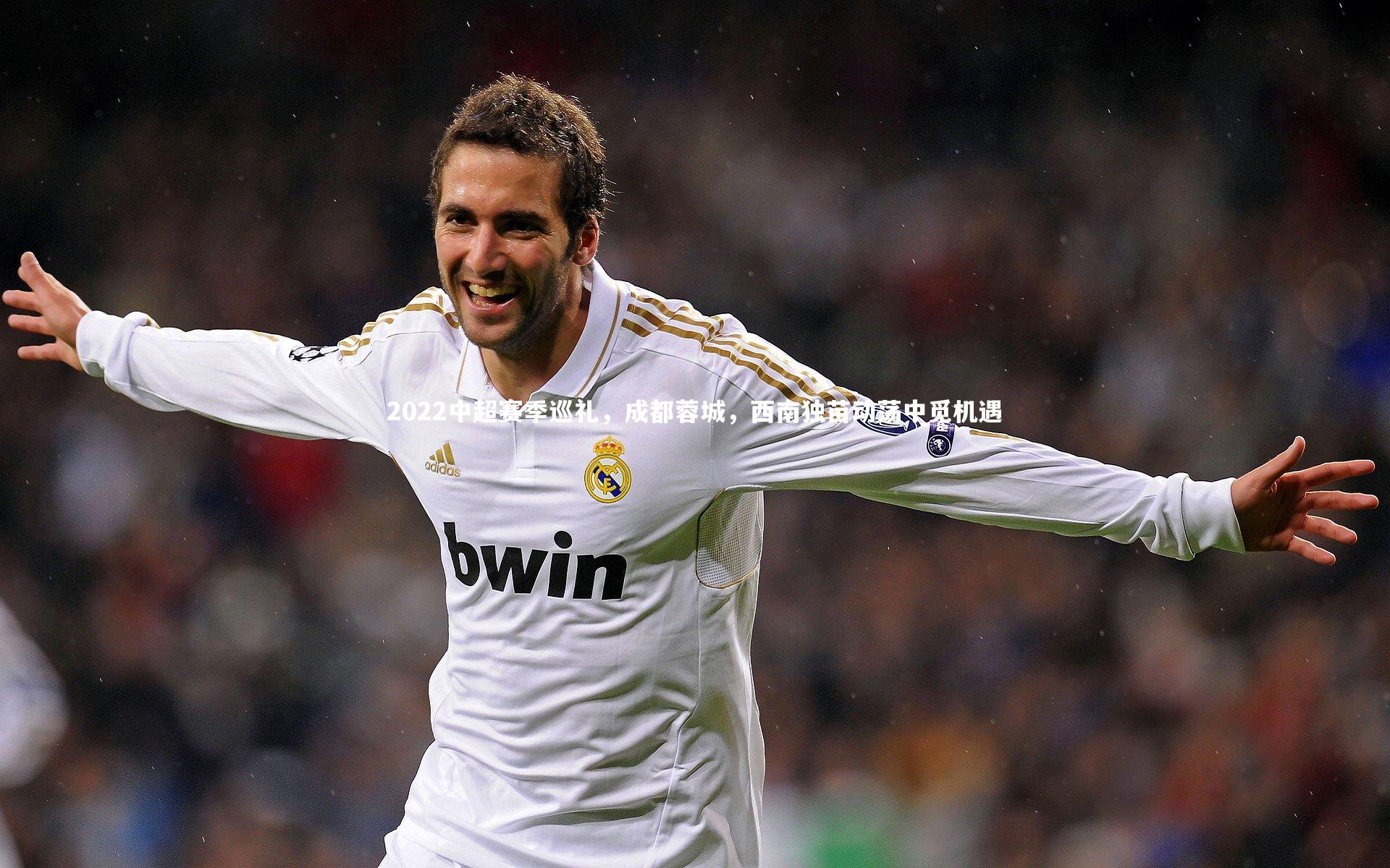 开云体育平台：2022中超赛季巡礼，成都蓉城，西南独苗动荡中觅机遇